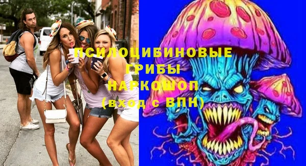 spice Вязники